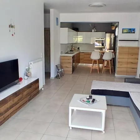 Vasilis Happy Apartament *