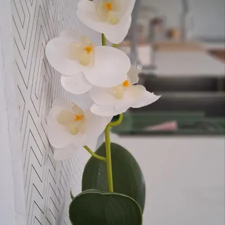 Vasilis Happy Apartment